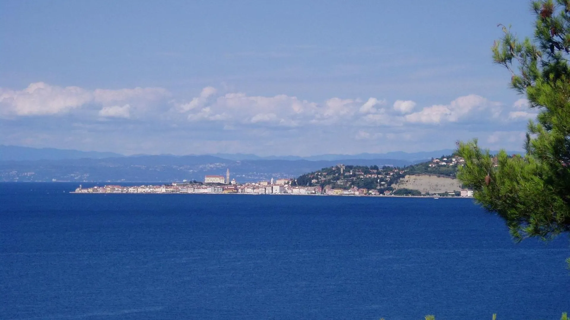 Apartment Villa Del Golfo, Apartement Mit Garten Und Pool Savudrija Croatia